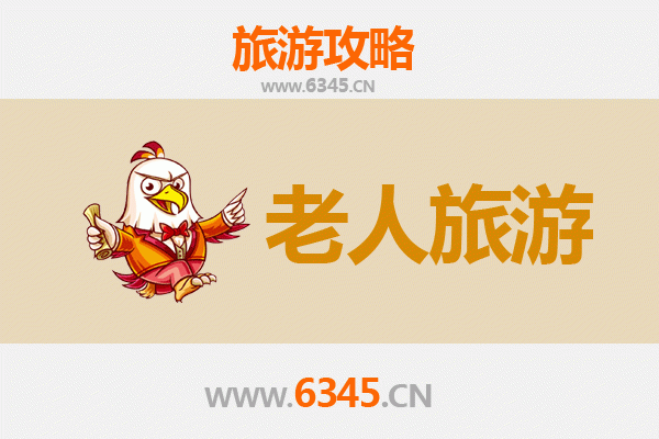 杭州拱墅银发漫游指南：古韵运河畔的悠闲时光